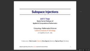 Randomized Linear Algebra with Subspace Injections